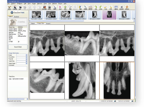 Software visualizador DICOM - EasyDent - MYVET - de captura de imagens / para imagiologia dentária veterinária / para clínica veterinária
