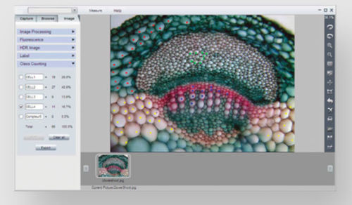 Software de controle - echoImage - Echo R&D S.r.l. - de captura / para microscópios digitais / de laboratório