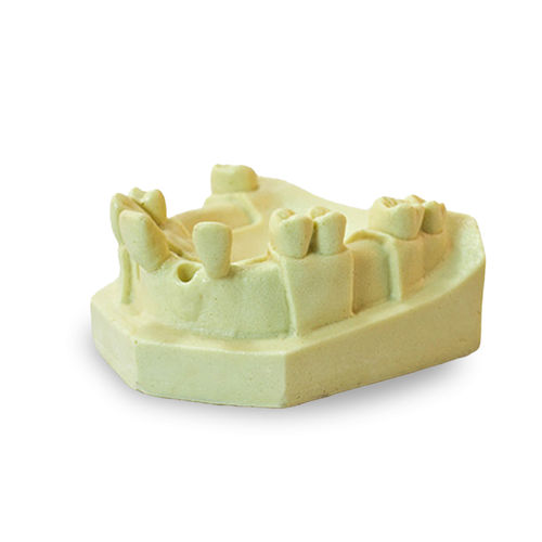 Modelo de dente - 4802 - Nacional Ossos - de osso / de maxila / para implantodontia