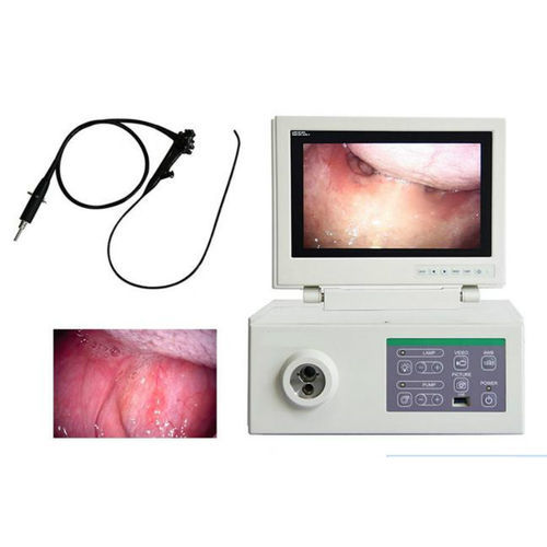 Gastroscópio veterinário com sistema de vídeo - HW37 - Hunan Fude Technology - para animais de pequeno porte / para animais de grande porte / com monitor de vídeo integrado