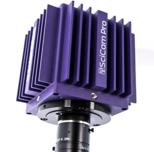 Módulo de câmera para microscópio - SciCam Pro - Scientifica - para eletrofisiológia / digital / CCD