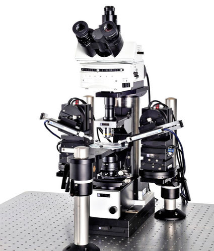 Sistema de patch-clamp para pesquisa - SliceScope Pro 1000 - Scientifica - com microscópio invertido