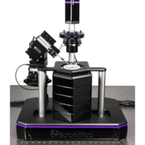 Microscópio óptico - PatchScope Pro 1000 - Scientifica - para neurociência / invertido / de fluorescência