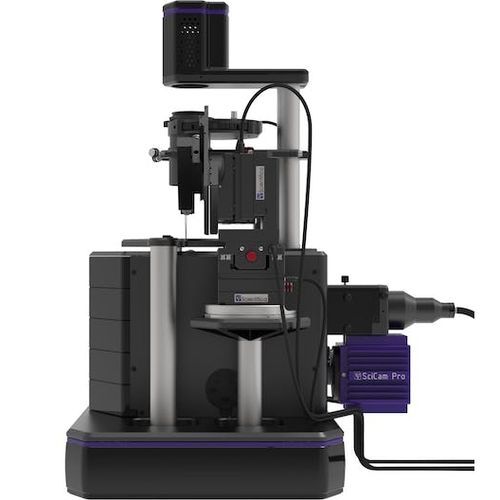 Microscópio óptico - PatchScope Pro 2000 - Scientifica - para neurociência / invertido / de fluorescência