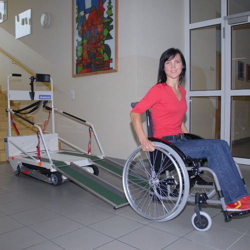 Elevador de escada para cadeira de rodas - Public - Lehner Lifttechnik - de esteiras
