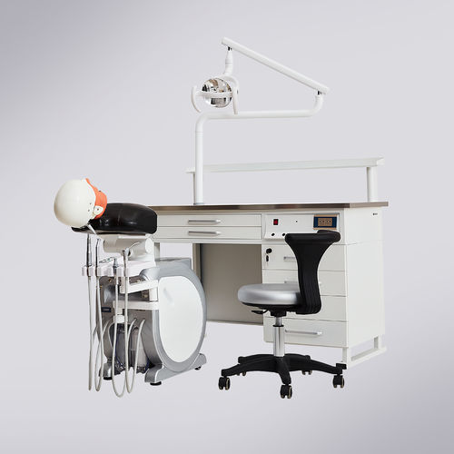 Simulador de paciente para ensino - T. MASTER - Foshan Cingol Medical Instrument Co.,Ltd - para procedimentos odontológicos / de cabeça