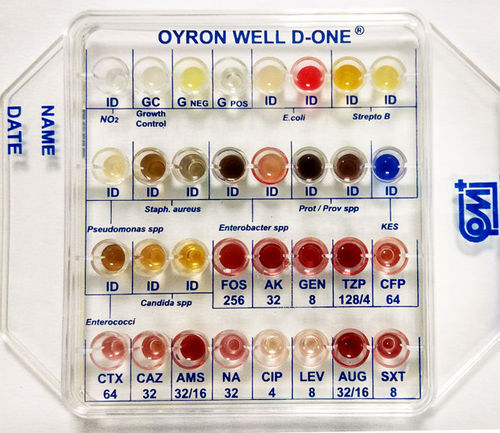 Kit de teste para teste de susceptibilidade antibiótica - MS01285 - CPM SAS