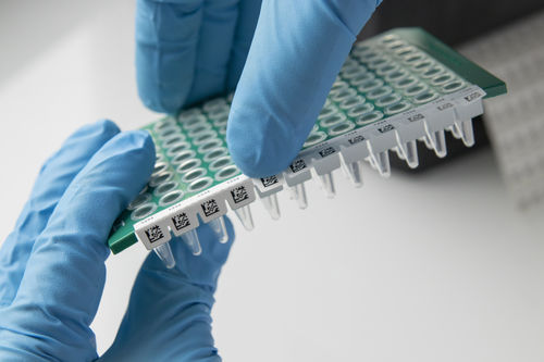 Etiqueta para microplacas - IDenti-PCR™ - GA International - resistente ao calor / de ultracongelamento