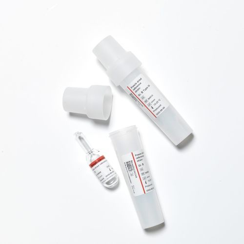 Reagente anticorpos - 84 series - SSI Diagnostica - de soro / para pesquisa / liofilizado