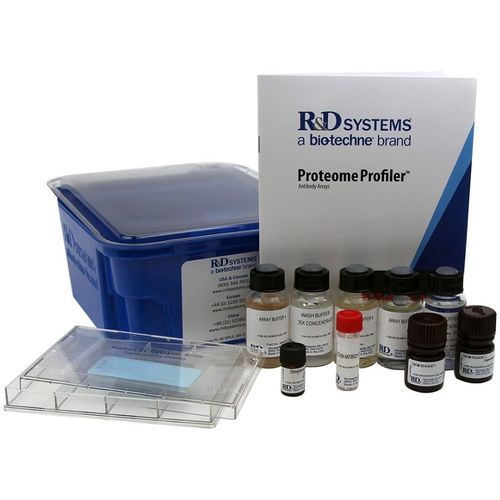 Kit de reagentes protease - ARY021B - R&D Systems - anticorpos / de tecidos / de proteínas
