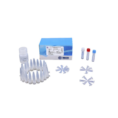 Kit de teste de tuberculose - 301031 - CapitalBio Technology - para doenças infecciosas / para análise de identificação / de micobactérias