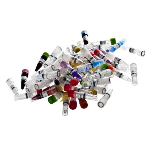 Reagente DNA polimerase - Atlas Taq - BioAtlas - para pesquisa / para PCR / para sequenciamento de DNA