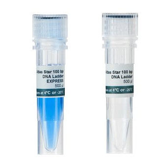 Reagente marcador de peso molecular de DNA - Atlas Star 100 bp - BioAtlas - para pesquisa / para eletroforese / líquido