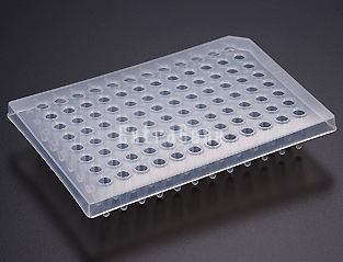 Microplaca para PCR - P-096-PF	 - ExtraGene,Inc. - com 96 poços