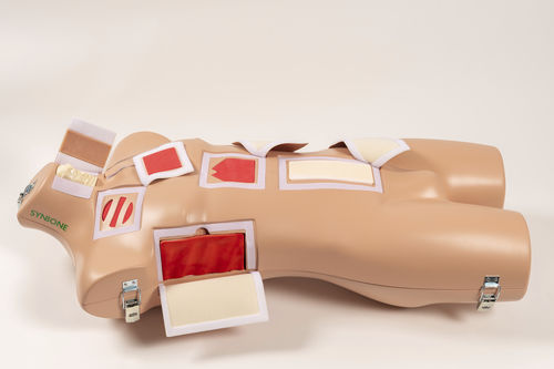Simulador para treinamento - SYNMAN - SYNBONE AG - de cirurgia / de trauma / de torso
