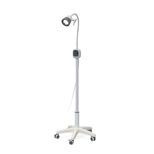 Foco clínico veterinário - JD1000 - Nanchang Micare Medical Equipment - para odontologia / de emergência / para ginecologia