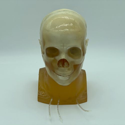 Fantoma para radiografia - HD-A03 - True Phantom Solutions - para tomografia computadorizada / para ressonância magnética / de cabeça