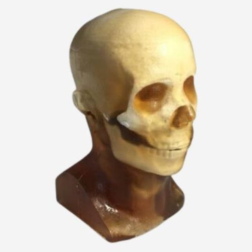 Fantoma para radiografia - HD-A01 - True Phantom Solutions - para tomografia computadorizada / para ressonância magnética / de cabeça