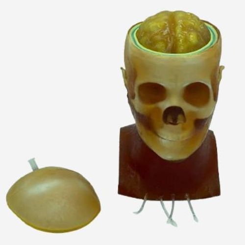Fantoma para radiografia - HD-C03 - True Phantom Solutions - para tomografia computadorizada / para ressonância magnética / de cabeça