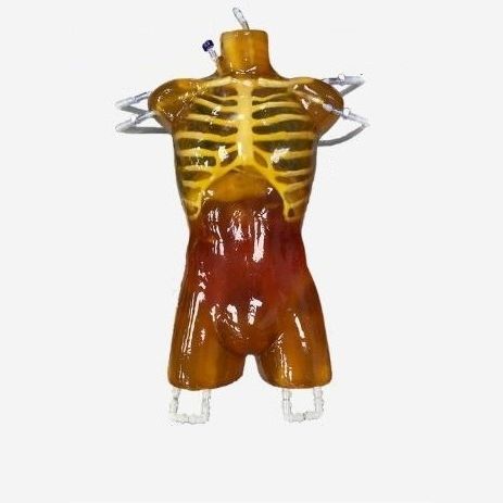 Fantoma para radiografia - TO-A03 - True Phantom Solutions - para tomografia computadorizada / para ressonância magnética / de torso