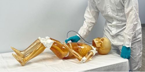 Fantoma para ecografia - FB-P02 - True Phantom Solutions - para radiografia / para tomografia computadorizada / de corpo inteiro