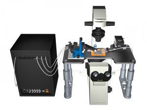 Sistema de patch-clamp automático - PatchServer - HEKA - monocanal / célula inteira / para pesquisa