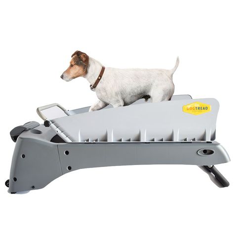 Esteira ergométrica veterinária para cães - PZ1701 - DogTread