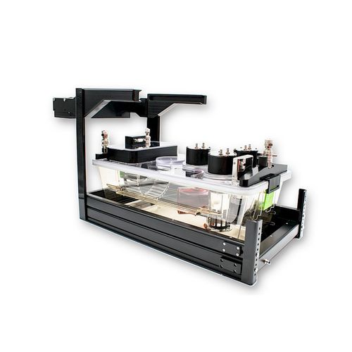Gaiola metabólica para pesquisa pré-clínica - PhenoMaster - TSE Systems - para roedores / modular / para calorimetria indireta