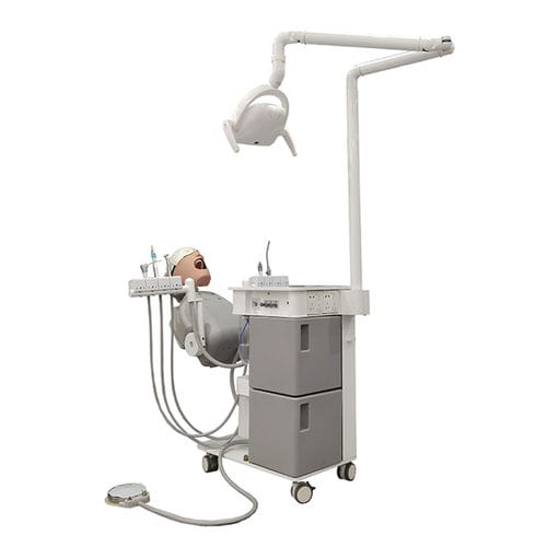 Simulador para ensino - JG-A15-1 - FOSHAN JINGLE MEDICAL EQUIPMENT CO., LTD - para treinamento / odontológico / de cabeça
