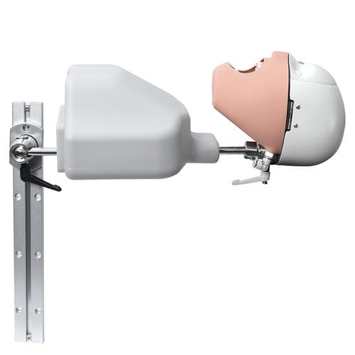 Manequim de treinamento odontológico - JG-C9 - FOSHAN JINGLE MEDICAL EQUIPMENT CO., LTD - para ensino / de cabeça / conjunto de manequins