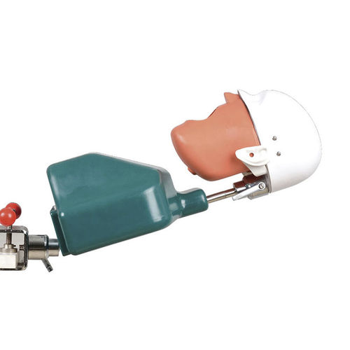 Manequim de treinamento para implantodontia - JG-C1 - FOSHAN JINGLE MEDICAL EQUIPMENT CO., LTD - de endodontia / para higiene dentária / para exodontia