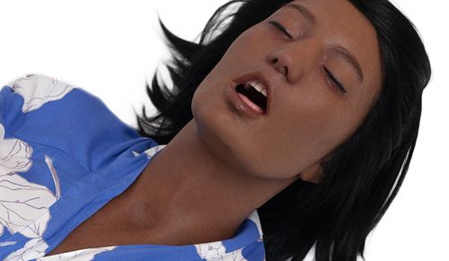 Simulador de paciente de controle de vias aéreas - ALSF-001 - LifeCast Body Simulation Ltd - para RCP / para procedimentos de emergência médica / para cuidados gerais de saúde