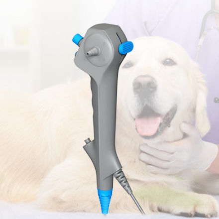 Gastroscópio veterinário com sistema de vídeo - ABD series - Lianying Medical Technology - para animais de pequeno porte / para animais de grande porte
