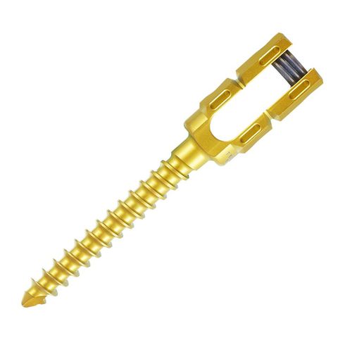 Parafuso pedicular para vértebra toracolombar - 0306-4520 - SurgTech - para vértebra lombar / monoaxial / metálico
