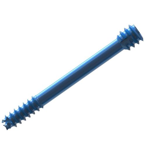 Parafuso de compressão óssea de uso geral - 1302-3016 - SurgTech - para rádio / para cúbito / canulado