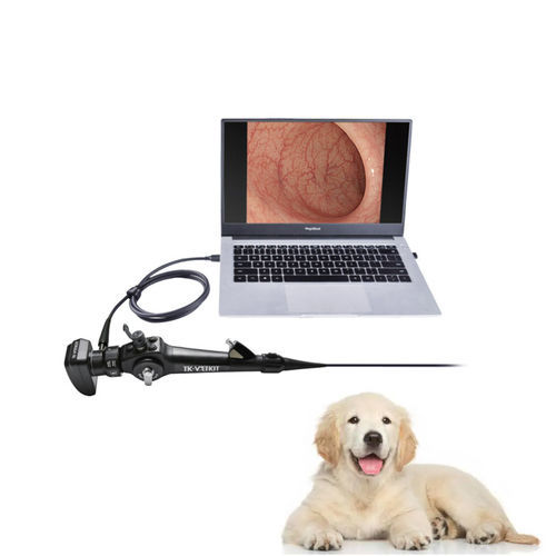 Broncoscópio veterinário com sistema de vídeo - EU series - Zhuhai Seesheen Medical Technology - para animais de pequeno porte / para cães / com canal de trabalho