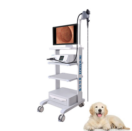 Broncoscópio veterinário com sistema de vídeo - GU series - Zhuhai Seesheen Medical Technology - para animais de pequeno porte / para animais de grande porte / para cães