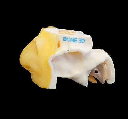 Simulador para treinamento - NASO-Train  - Bone 3D - para coleta de secreção nasofaríngea / de cirurgia / de COVID-19