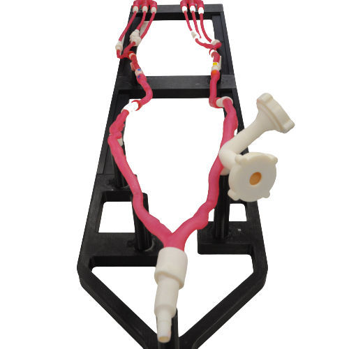 Simulador para treinamento - VASCULO-Train - Bone 3D - de acesso vascular / de punção / de cateterismo