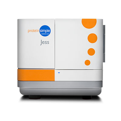 Analisador automático de Western Blot - Jess - ProteinSimple