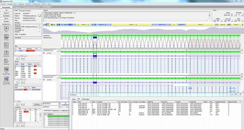 Módulo de software para sequenciamento HLA - SEQNEXT-HLA - JSI medical systems - de análise / de mapeamento / de laboratório