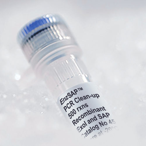 Kit de reagentes com enzimas - EnzSAP™ - Edge BioSystems - para sequenciamento de Sanger / de fosfatase alcalina