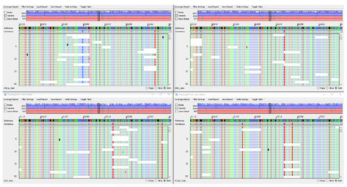 Software de análise - GeneMarker®HTS  - SoftGenetics, LLC. - de controle / de criação de laudos / NGS