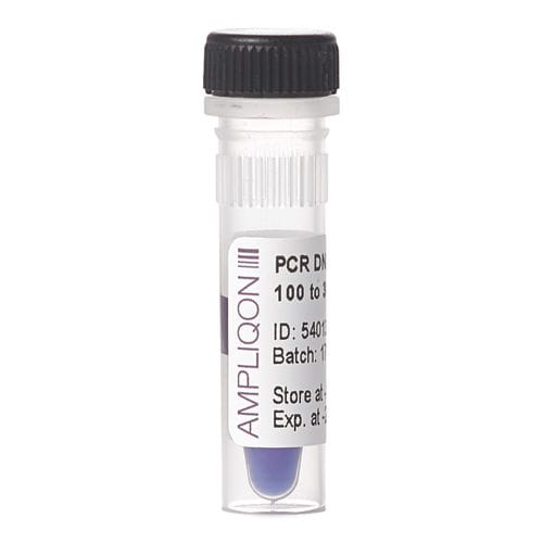Reagente marcador de peso molecular de DNA - A610341 - Ampliqon A/S - para PCR / para ácidos nucleicos / para quantificação de DNA