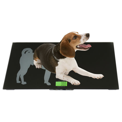 Balança veterinária eletrônica - LC-VS series - LW MEASUREMENTS Europe S.L. - com display LCD