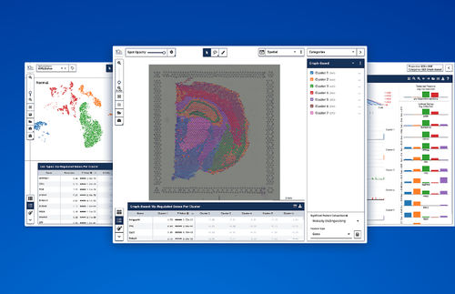 Software de análise - 10xgenomics - de visualização / para biologia molecular / Windows