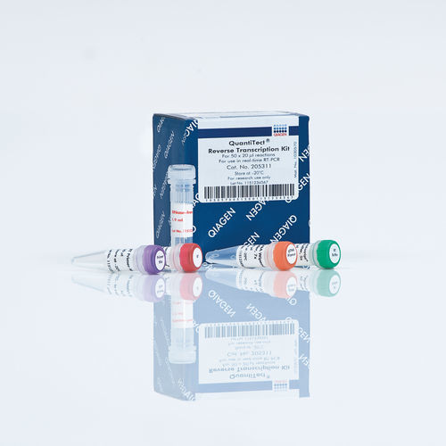Kit de reagentes para RT-PCR - QuantiTect - QIAGEN - transcriptase reversa / para síntese de DNAc / de DNA genômico