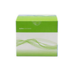 Kit de reagentes em solução - KAPA - Roche Sequencing Solutions - para pesquisa / líquido