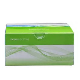 Kit de reagentes em solução - KAPA HyperPlus - Roche Sequencing Solutions - para pesquisa / NGS