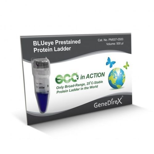 Reagente marcador de peso molecular de proteínas - BLUeye   - GeneDireX, Inc. - para western blot